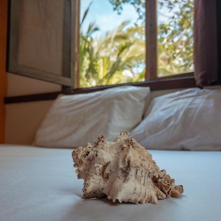 Uvita River Guesthouse Eksteriør billede