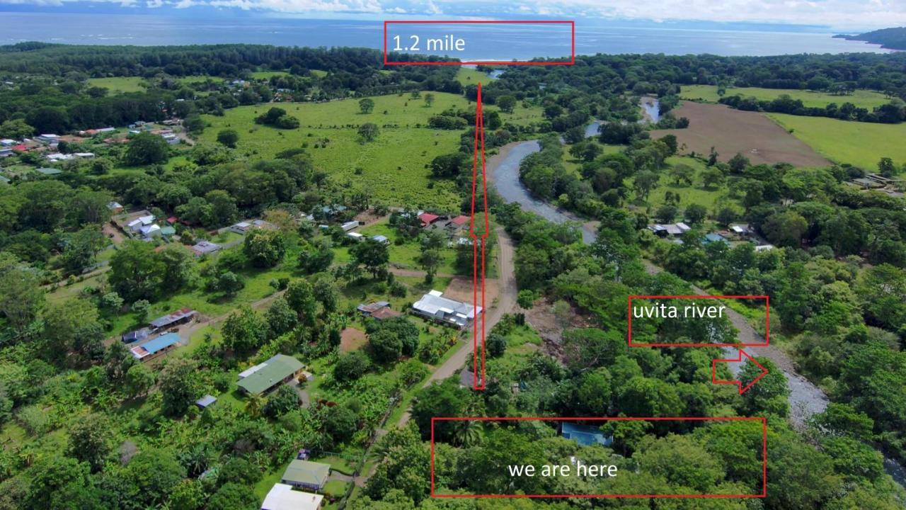 Uvita River Guesthouse Eksteriør billede